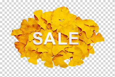 식물 편집 편집이미지 문자 알파벳 계절 컬러 단풍 낙엽 잎 나뭇잎 사람없음 쇼핑 노란색 판매 세일 가을 오브젝트 은행잎 PNG 편집소스 영어 파일형식