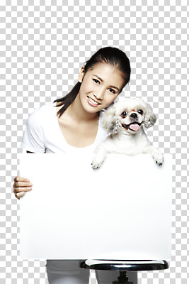 외국인 동물 편집 편집이미지 한마리 우먼라이프 라이프스타일 배너 여자 반려견 캠페인 의자 포유류 광고판 한명 서기 웃음 들기 사람 동양인 상반신 20대 성인 앞모습 반려동물 판넬 개 강아지 시츄 알림 동물보호 PNG 반려 유기견 여자만 여자한명만 성인여자만 청년만 청년여자만 성인한명만 청년여자한명만 성인여자한명만 성인만 편집소스 1 뷰포인트 가구 모션 알림판 표정 인종 청년 생활 사회이슈 판 파일형식 유기동물