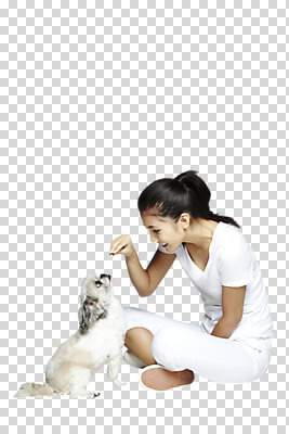 전신 외국인 동물 편집 편집이미지 한마리 우먼라이프 라이프스타일 응시 여자 반려견 캠페인 포유류 디저트 한명 미소 웃음 들기 사람 앉기 동양인 20대 성인 옆모습 반려동물 개 강아지 시츄 동물보호 PNG 반려 유기견 여자만 여자한명만 성인여자만 청년만 청년여자만 성인한명만 청년여자한명만 성인여자한명만 성인만 편집소스 1 시선 음식 뷰포인트 모션 표정 인종 청년 생활 사회이슈 파일형식 유기동물