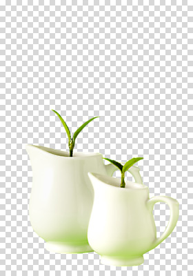 식물 편집 편집이미지 화분 잎 사람없음 새싹 물병 오브젝트 원예 원예식물 PNG 편집소스 취미 물통 파일형식