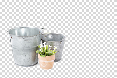 식물 편집 편집이미지 화분 화초 잎 사람없음 양동이 원예식물 PNG 편집소스 파일형식