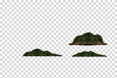 나무 식물 편집 편집이미지 섬 자연 산 풍경 사람없음 무인도 PNG 편집소스 생태계 파일형식