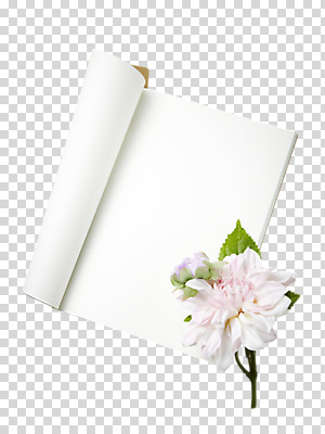 식물 편집 편집이미지 꽃 잎 사람없음 책 공책 펼침 오브젝트 한권 PNG 편집소스 1 모션 문구용품 파일형식