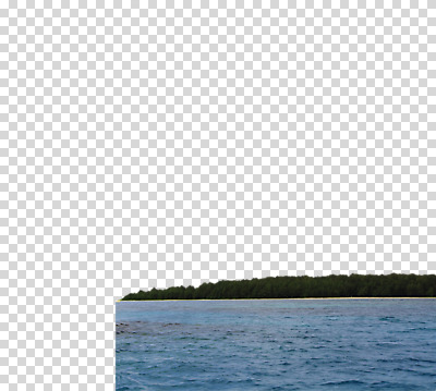 나무 식물 편집 편집이미지 바다 섬 자연 풍경 해변 사람없음 무인도 PNG 편집소스 생태계 파일형식