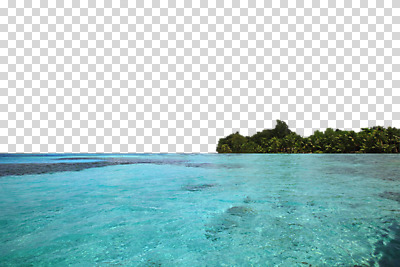 나무 식물 편집 편집이미지 바다 섬 자연 풍경 해변 사람없음 무인도 PNG 편집소스 생태계 파일형식