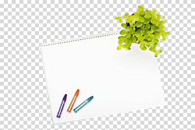 식물 편집 편집이미지 화분 화초 잎 문구용품 학용품 사람없음 필기구 미술도구 스케치북 오브젝트 크레파스 원예식물 미니화분 PNG 편집소스 파일형식