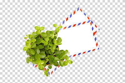 식물 편집 편집이미지 화분 화초 잎 봉투 편지봉투 사람없음 종이봉투 편지 오브젝트 원예식물 미니화분 PNG 국제우편 편집소스 우편물 파일형식