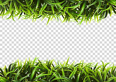 식물 편집 편집이미지 컬러 백그라운드 프레임 잔디 초원 사람없음 초록색 풀 식물백그라운드 PNG 편집소스 파일형식