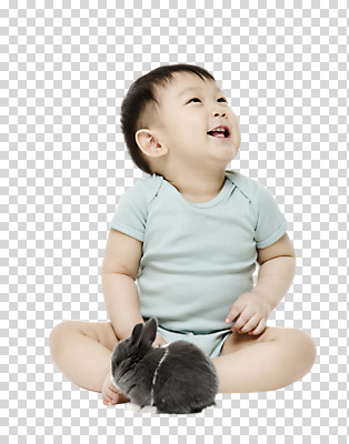 전신 동물 편집 편집이미지 한마리 응시 남자 초식동물 한명 웃음 사람 앉기 동양인 앞모습 한국인 아기 토끼 PNG 반려 남자만 남자한명만 아기만 남자아기만 남자아기한명만 편집소스 1 시선 뷰포인트 포유류 모션 표정 인종 반려동물 파일형식