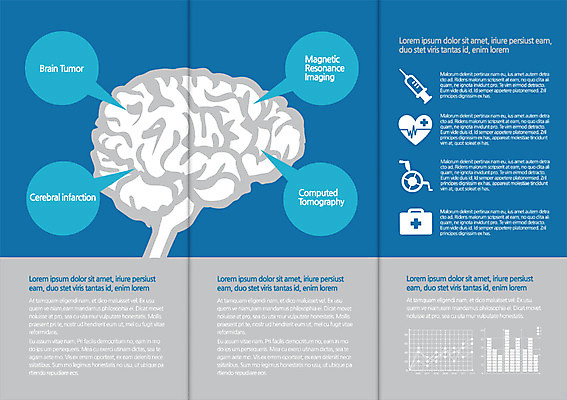 PSD 템플릿 편집 표지디자인 북디자인 출판디자인 내지 리플렛 백그라운드 말풍선 북커버 3단접지 의학 그래프 주사기 팜플렛 사람없음 치료 픽토그램 머리 하트 심장 맥박 구급상자 장기 휠체어 두뇌 뇌 이미지템플릿 모양 신체 의료기기 신체부위 의료용품 장기_의학 파일형식