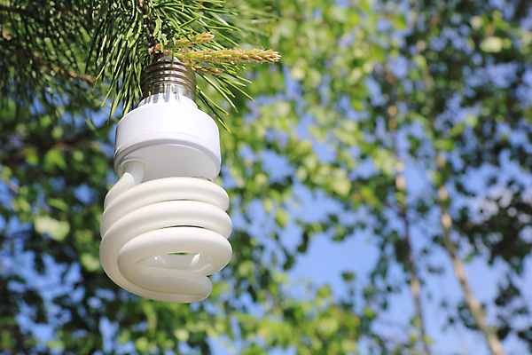 포토 JPG 해외이미지 꽃 컨셉 2 전구 아이디어 기술 사람없음 초록색 빛 글로벌 태양 환경 재활용 에너지 성장 흰색 램프 절약 보호 심볼 에코 자원 해결 내추럴 혁명 돌봄 발명 방법 생태학 해외202004 해외포토 자연요소 식물 교육 컬러 모션 조명 친환경 파일형식 이미지허브