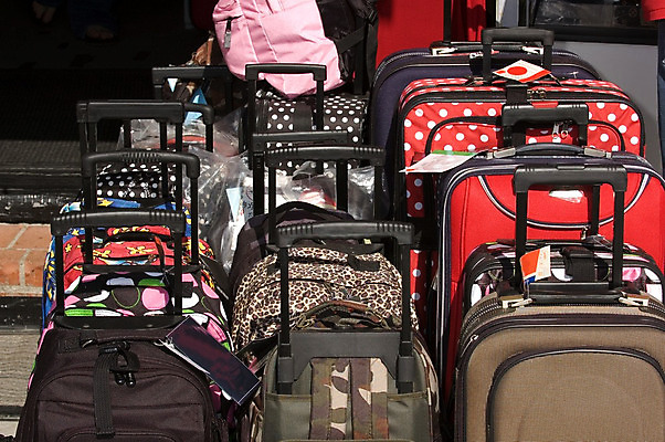 포토 JPG 해외이미지 손 분홍색 사람없음 빨간색 초록색 파란색 컬러풀 노란색 세일 검은색 흰색 핸들 표범 수하물 해외202004 해외포토 컬러 포유류 신체부위 파일형식 이미지허브