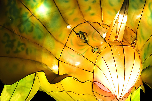 포토 JPG 해외이미지 동물 전구 파충류 조명 사람없음 빛 어둠 등불 램프 야간 공룡 고생물 멸종 선사시대 고립 몬스터 점화 쥬라기 해외202004 해외포토 자연요소 생물 역사 파일형식 이미지허브