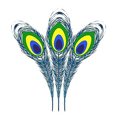 EPS 해외이미지 동물 디자인 실루엣 야생동물 컨셉 패턴 일러스트 자연 조류 그래픽 장식 초록색 파란색 컬러풀 갈색 우주 흰색 우아함 공작 스케치 심볼 깃털 묘사 그림 꼬리 솜털 고립 이국적 스타일 해외202004 해외일러스트 컬러 무늬 촬영기법 미술 생태계 파일형식 벡터 이미지허브