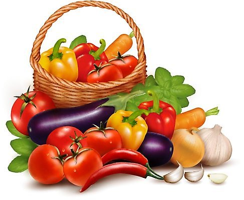 EPS 해외이미지 음식 백그라운드 농업 다이어트 토마토 채소 오렌지 일러스트 자연 고추 호박 가지 감자 파프리카 건강 마늘 요리 빨간색 초록색 노란색 바구니 보라색 당근 샐러드 수확 신선 달콤 맛 먹기 제비꽃 향신료 오브젝트 유기농 후추 모음 바질 건강식 꼬투리 단백질 채식주의자 해외202004 해외일러스트 웰빙 꽃 산업 컬러 컨셉 과일 모션 뿌리채소 생태계 채식 영양소 향미료 파일형식 벡터 이미지허브