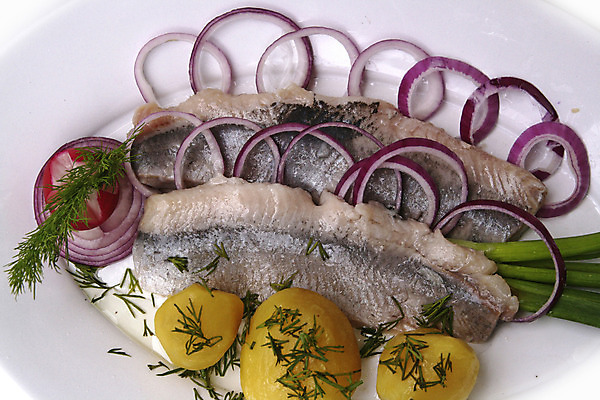 포토 JPG 해외이미지 접시 음식 바다 크리스마스 채소 양파 3 어류 사람없음 장식 가로 초록색 식당 식사 당근 샐러드 고명 맛 상추 레몬 피클 칼로리 토막 단백질 딜 식품점 오메가 절임 청어 가문비나무 해외202004 해외포토 나무 식기 기념일 컬러 컨셉 과일 뿌리채소 상점 수중동물 영양소 파일형식 이미지허브