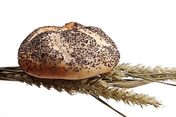 포토 JPG 해외이미지 음식 백그라운드 다이어트 따뜻함 요리 사람없음 갈색 식사 저녁식사 빵집 껍질 흰색 신선 황금 맛 아침식사 밀 굽기 먹기 롤 밀가루 부드러움 덩어리 점심식사 번 이스트 통밀 해외202004 해외포토 빵 컬러 컨셉 모션 곡류 건강 상점 감각 가루 구이 파일형식 이미지허브