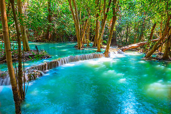 포토 JPG 해외이미지 나무 식물 공원 백그라운드 잎 모션 태국 자연 휴가 휴식 국립공원 풍경 사람없음 목재 초록색 물 강 수영 봄 활발 폭포 젖음 흐름 성장 가을 신선 개울 숲 시원함 순수 즐거움 천국 이국적 파라다이스 해외202004 해외포토 자연요소 계절 공공시설 감정 아시아 컬러 컨셉 재료 수상스포츠 생태계 파일형식 이미지허브
