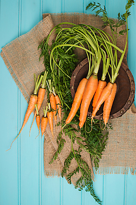 포토 JPG 해외이미지 전통 라이프스타일 음식 농업 채소 오렌지 탁자 건강 사람없음 목재 주방 침묵 당근 수확 신선 복고 날것 뿌리 소셜네트워크 숙성 채식주의자 터키석 비건 해외202004 해외포토 나무 산업 가구 과일 재료 뿌리채소 생활 소리 보석 채식 파일형식 이미지허브