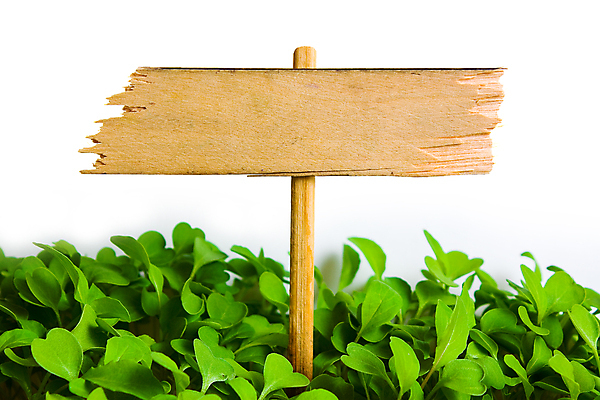 포토 JPG 해외이미지 백그라운드 사람없음 목재 흰색 오픈 사인 고립 충고 해외202004 해외포토 나무 컬러 재료 파일형식 이미지허브