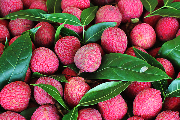 포토 JPG 해외이미지 음식 백그라운드 농업 다이어트 채소 과일 태국 건강 동양인 사람없음 농장 주스 껍질 신선 시장 달콤 맛 먹기 날것 식료품점 채식주의자 억울 해외202004 해외포토 감정 산업 아시아 음료 컨셉 모션 인종 상점 채식 파일형식 이미지허브