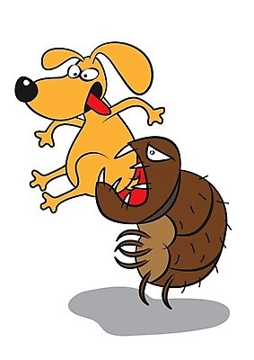 EPS 해외이미지 일러스트 반려동물 개 벌레 공격 만화 거인 기생충 몬스터 해외202004 해외일러스트 동물 곤충 포유류 모션 바이러스 파일형식 벡터 이미지허브