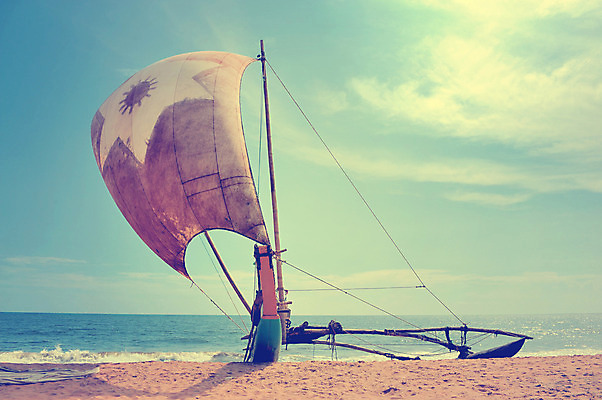 포토 JPG 해외이미지 나무 전통 실루엣 아시아 문화 모래 파도 바다 섬 여행 교통시설 자연 하늘 낚시 휴가 휴식 항해 손바닥 어류 동양인 풍경 사람없음 야외 목재 물 여름 파란색 컬러풀 평화 맑음 일몰 새벽 보트 낚시꾼 내추럴 스리랑카 옛날 이국적 해외202004 해외포토 자연요소 식물 손 계절 나라 컬러 교통 컨셉 배_교통 재료 레저 날씨 촬영기법 인종 노을 수중동물 시설 생태계 파일형식 이미지허브