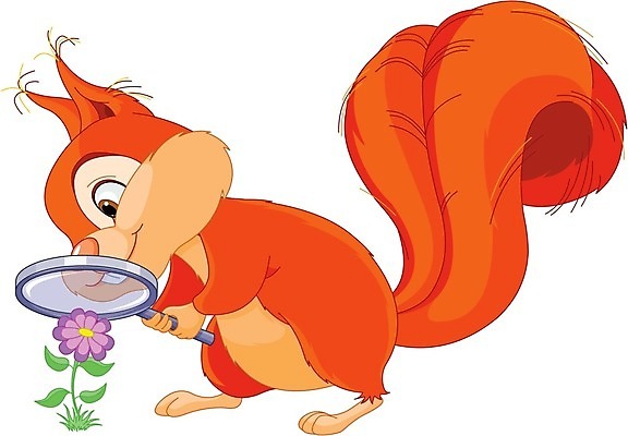 EPS 해외이미지 클립아트 동물 디자인 응시 꽃 행복 야생동물 일러스트 포유류 자연 유리 돋보기 털 동물원 미술 그래픽 빨간색 갈색 라벨 방 인사 신용카드 확대 설치류 만화 심볼 호기심 그림 데이지 다람쥐 클립 엽서 솜털 캐모마일 해외202004 해외일러스트 식물 시선 감정 컬러 컨셉 재질 문화예술 프레임 금융 예절 편지 허브 생태계 파일형식 벡터 이미지허브