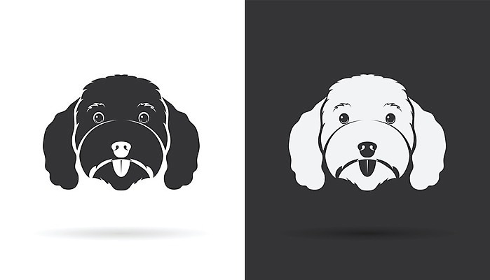 EPS 해외이미지 일러스트 사람없음 반려동물 검은색 흰색 개 강아지 푸들 해외202004 해외일러스트 동물 컬러 포유류 파일형식 벡터 이미지허브