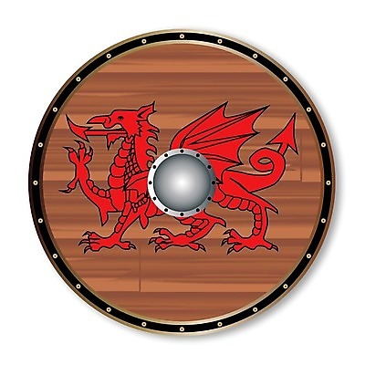 EPS 해외이미지 백그라운드 일러스트 미술 목재 그래픽 빛 갈색 용 소나무 원형 중앙 그림 결 방패 고립 바이킹 해외202004 해외일러스트 도형 나무 컬러 무늬 재료 문화예술 파일형식 벡터 이미지허브