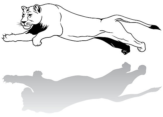 EPS 해외이미지 클립아트 동물 야생동물 일러스트 포유류 아프리카 흑백 웃음 점프 고양이 입 치아 사자 스케치 문신 그림 윤곽 육식동물 손그림 암사자 해외202004 해외일러스트 나라 모션 촬영기법 표정 미술 신체부위 반려동물 소화기관 암컷 파일형식 벡터 이미지허브