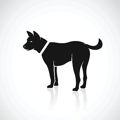 EPS 해외이미지 일러스트 사람없음 반려동물 검은색 흰색 개 강아지 해외202004 해외일러스트 동물 컬러 포유류 파일형식 벡터 이미지허브