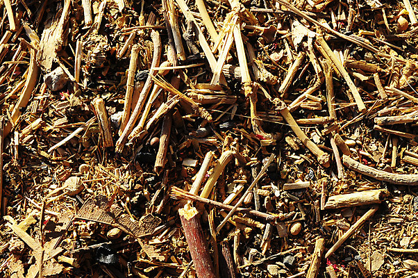 포토 JPG 해외이미지 식물 백그라운드 패턴 밭 농업 자연 밥 추상 건조 사람없음 야외 여름 농작물 농장 갈색 노란색 수확 가을 시골 황금 볏짚 시리얼 밀 허브 질감 뭉치 밀짚 내추럴 해외202004 해외포토 계절 산업 음식 컬러 무늬 곡류 짚 생태계 파일형식 이미지허브