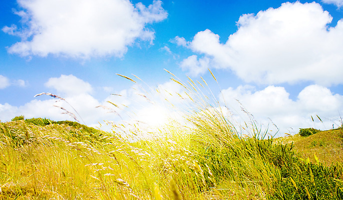 포토 JPG 해외이미지 구름 유럽 모래 바다 섬 여행 자연 하늘 바람 날씨 휴가 독일 풍경 사람없음 야외 초록색 물 여름 파란색 빛 햇빛 태양 맑음 봄 모래언덕 네덜란드 북쪽 수평선 해외202004 해외포토 자연요소 계절 나라 컬러 방향 언덕 생태계 파일형식 이미지허브