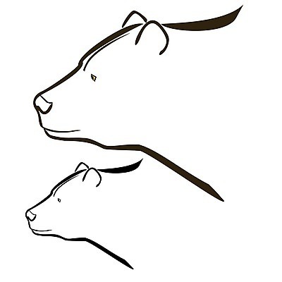 EPS 해외이미지 동물 공원 일러스트 곰 털 동물원 갈색 힘 위험 스케치 사냥 육식동물 사냥꾼 육식 예약 웅장함 해외202004 해외일러스트 직업 공공시설 컬러 컨셉 포유류 미술 파일형식 벡터 이미지허브