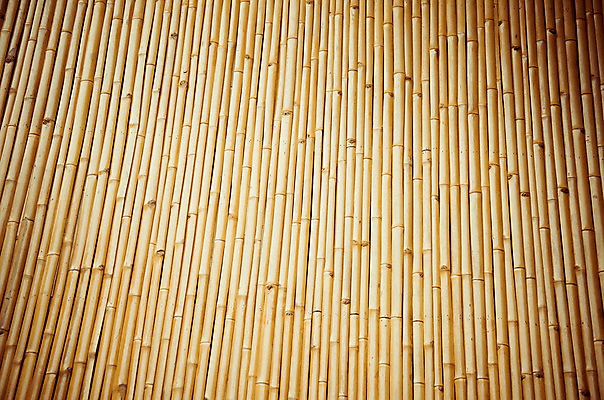 포토 JPG 해외이미지 식물 전통 라이프스타일 디자인 문화 벽 여행 백그라운드 패턴 자연 벽지 바닥 주택 미술 동양인 사람없음 목재 장식 울타리 상자 갈색 바구니 일본 중국 시골 닫기 대나무 묘사 유기농 시골집 질감 복고 망사 밀짚 짜임 내추럴 등나무 옛날 짜기 핸드메이드 해외202004 해외포토 나무 웰빙 아시아 컬러 무늬 재료 모션 문화예술 인종 건물 생활 담장 직물 짚 생태계 파일형식 이미지허브