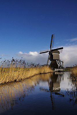 포토 JPG 해외이미지 구름 하늘 갈대 사람없음 물 반사 풍차 방앗간 해외202004 해외포토 자연요소 식물 파일형식 이미지허브