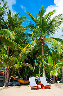 포토 JPG 해외이미지 나무 모래 바다 섬 의자 자연 하늘 휴가 휴식 풍경 사람없음 야외 물 여름 파란색 태양 맑음 침묵 흰색 만 휴게실 보라카이 석호 완벽 이국적 터키석 파라다이스 수평선 해외202004 해외포토 자연요소 식물 계절 컬러 가구 컨셉 날씨 필리핀 소리 보석 생태계 파일형식 이미지허브