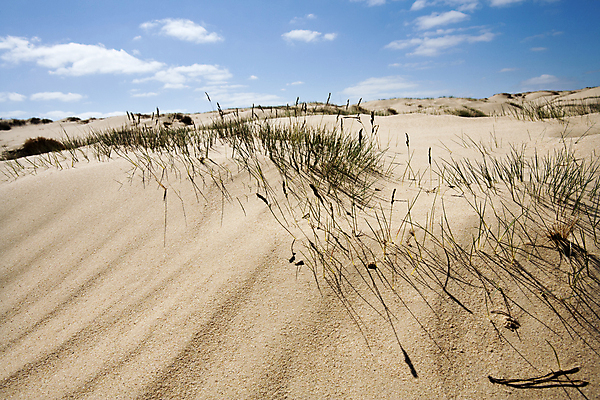 포토 JPG 해외이미지 구름 모래 자연 하늘 사람없음 햇빛 모래언덕 언덕 소금 카피스페이스 해외202004 해외포토 자연요소 태양 공백 생태계 파일형식 이미지허브