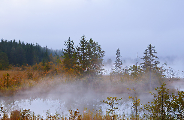포토 JPG 해외이미지 나무 식물 계절 호수 잎 오렌지 자연 표면 아침 날씨 독일 풍경 사람없음 물 노란색 일출 침묵 고요 안개 가을 연못 붓 숲 속도 알프스 옛날 바이에른 바이에른사람 해외202004 해외포토 주간 자연요소 유럽 컬러 과일 노을 소리 생태계 파일형식 이미지허브