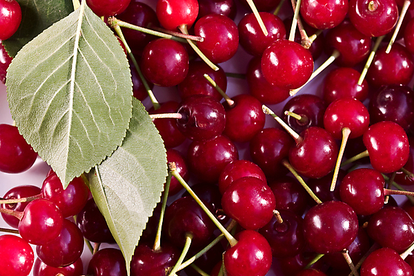 포토 JPG 해외이미지 음식 백그라운드 과일 디저트 사람없음 빨간색 신선 체리 달콤 맛 질감 숙성 해외202004 해외포토 컬러 컨셉 파일형식 이미지허브