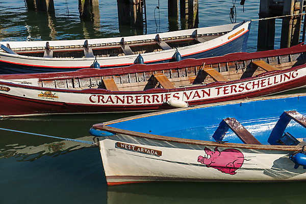 포토 JPG 해외이미지 스포츠 바다 분홍색 사람없음 목재 빨간색 물 파란색 항구 돼지 보트 네덜란드 노젓기 해외202004 해외포토 자연요소 나무 유럽 컬러 배_교통 재료 포유류 교통시설 모션 파일형식 이미지허브