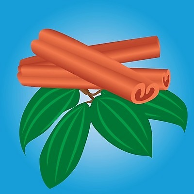 EPS 해외이미지 식물 음식 다이어트 일러스트 재료 디저트 건조 건강 요리 약 갈색 건강관리 주방 식사 신선 조미료 막대기 플랫 맛 먹기 허브 향신료 오브젝트 유기농 아로마 향 아로마테라피 내추럴 고립 시나몬 해외202004 해외일러스트 웰빙 컬러 컨셉 의학 모션 관리 테라피 향미료 파일형식 벡터 이미지허브