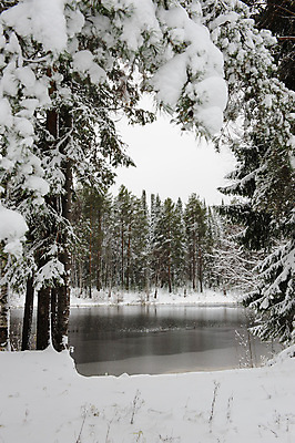 포토 JPG 해외이미지 나무 구름 계절 공원 유럽 호수 여행 백그라운드 크리스마스 겨울 밭 자연 하늘 표면 날씨 휴가 전등 풍경 사람없음 야외 장식 빨간색 파란색 빛 컬러풀 햇빛 태양 노란색 일출 환경 냉동 얼음 침묵 추위 가을 흰색 나뭇가지 시골 축하 소나무 숲 시원함 12월 서리 장면 북쪽 상록수 전나무 자작나무 눈보라 내추럴 처음 눈내림 가문비나무 수평선 해외202004 해외포토 자연요소 식물 공공시설 기념일 나라 컬러 컨셉 농업 조명 눈_날씨 노을 소리 날짜 방향 생태계 파일형식 이미지허브