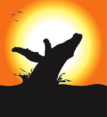 EPS 해외이미지 실루엣 바다 오렌지 일러스트 포유류 물 태양 검은색 일몰 고래 해외202004 해외일러스트 자연요소 동물 컬러 과일 촬영기법 노을 수중동물 파일형식 벡터 이미지허브