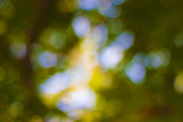 포토 JPG 해외이미지 디자인 행복 별 분홍색 백그라운드 추상 미술 사람없음 장식 파란색 반짝임 노란색 원형 화려 우아함 소프트포커스 심볼 보케 빛망울 엘리먼트 해외202004 해외포토 자연요소 도형 감정 컬러 컨셉 무늬 모션 문화예술 촬영기법 빛 파일형식 이미지허브