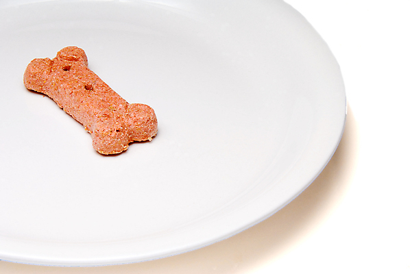 포토 JPG 해외이미지 동물 접시 음식 다이어트 뼈 건조 건강 사람없음 반려동물 쿠키 식사 대접 최고 개 맛 강아지 먹이 돌봄 식용 영양소 해외202004 해외포토 식기 컨셉 포유류 모션 디저트 파일형식 이미지허브