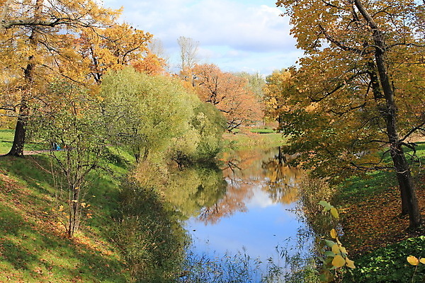 포토 JPG 해외이미지 나무 공원 잎 사람없음 물 반사 가을 해외202004 해외포토 자연요소 식물 계절 공공시설 파일형식 이미지허브