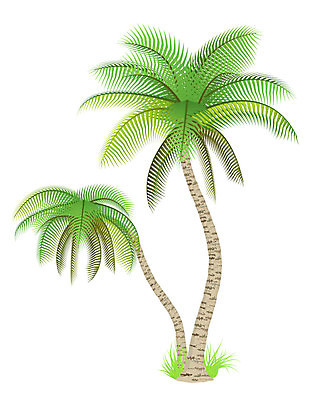 EPS 해외이미지 나무 식물 섬 여행 잎 일러스트 자연 휴가 휴식 열대 손바닥 초록색 흰색 큼 코코넛 내추럴 고립 이국적 해외202004 해외일러스트 손 컬러 컨셉 과일 크기 생태계 파일형식 벡터 이미지허브