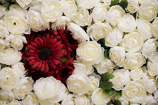 포토 JPG 해외이미지 식물 꽃잎 꽃 꽃다발 백그라운드 잎 꽃무늬 자연 탁자 선물 사람없음 장식 컬러풀 파티 식당 페인트 재활용 골동품 벚꽃 인사 도자기 닫기 냄비 플라스틱 배열 꽃집 묘사 질감 복고 고립 옛날 인공 해외202004 해외포토 컬러 가구 무늬 모션 재질 이벤트 상점 예절 솥 친환경 생태계 파일형식 이미지허브